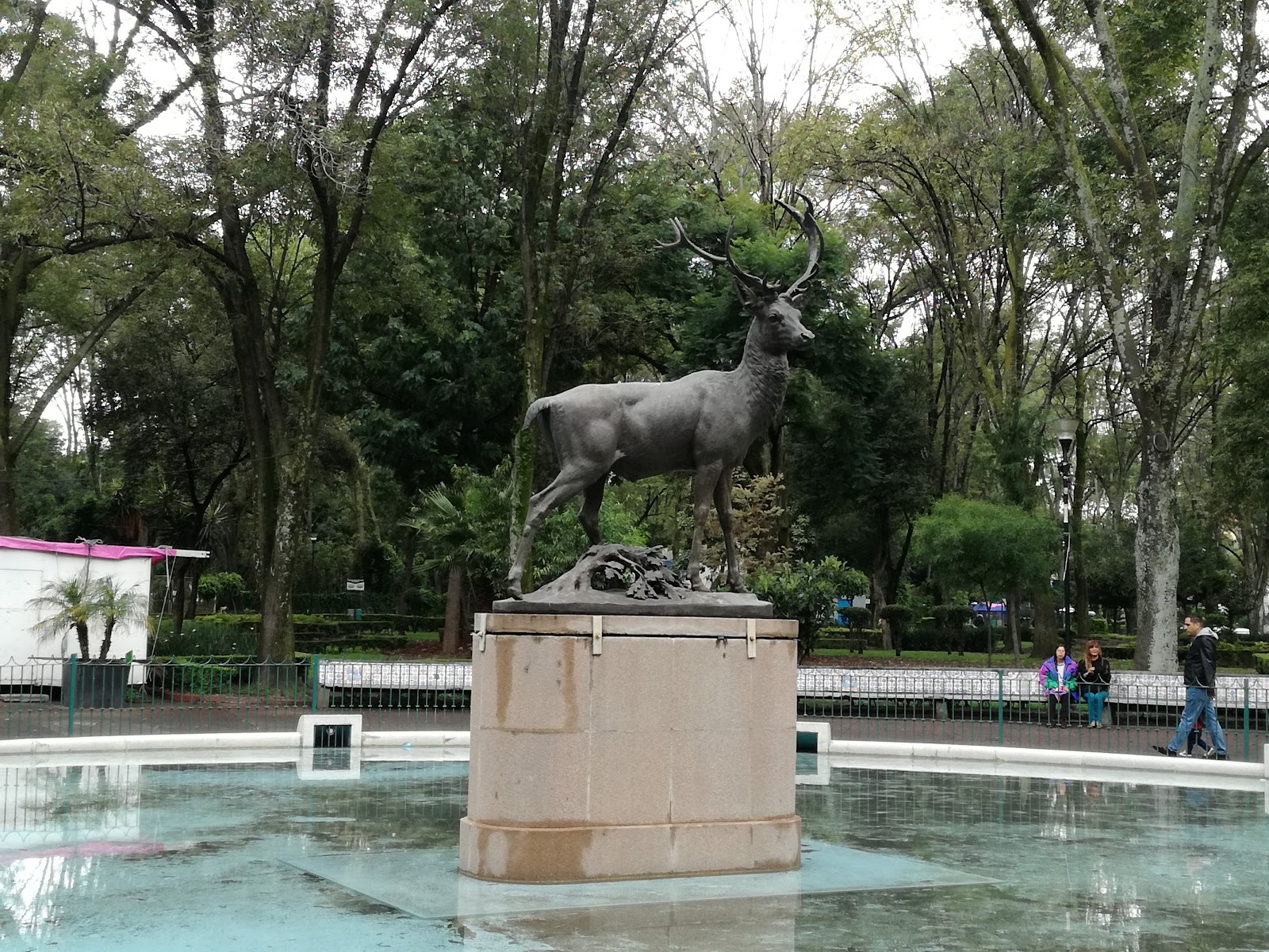 Planetario Joaquín Gallo y Foro Hermanos Soler